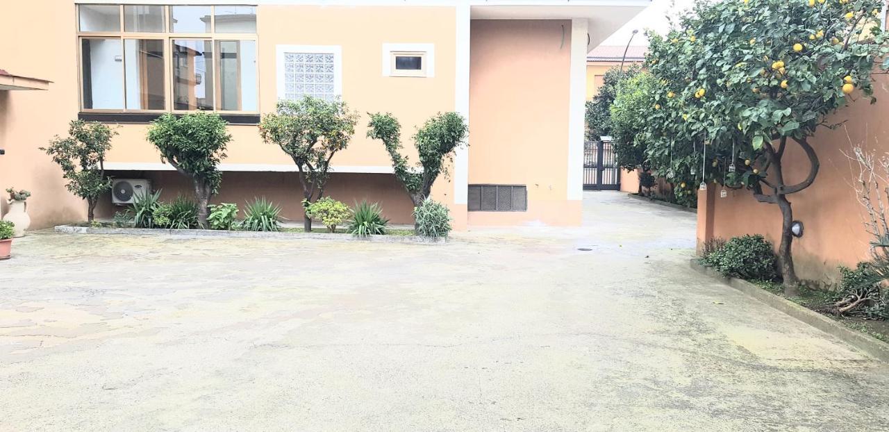 Recale I Pini B&B מראה חיצוני תמונה