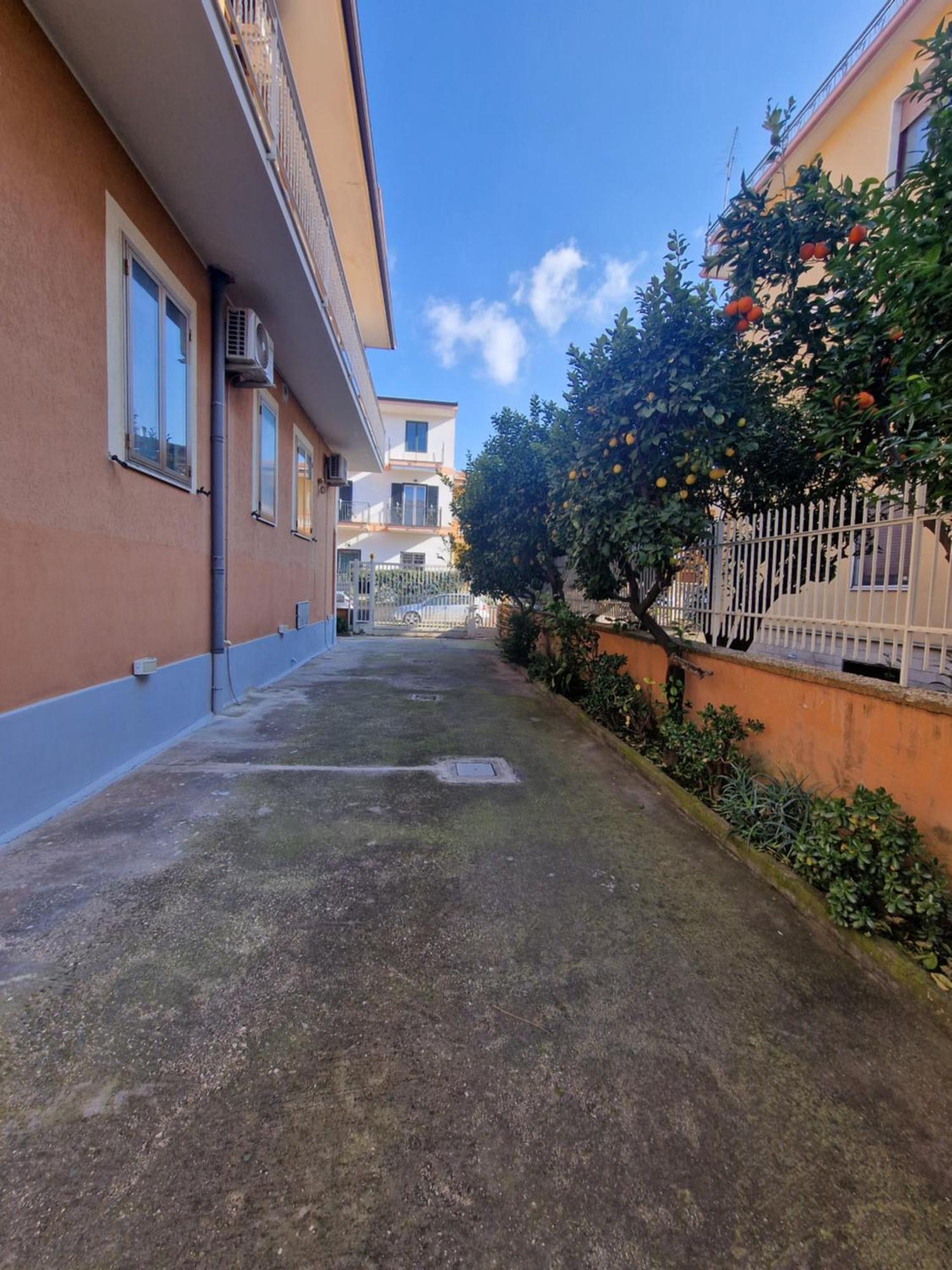 Recale I Pini B&B מראה חיצוני תמונה